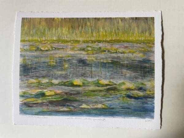 Kilarney Lake water lilies