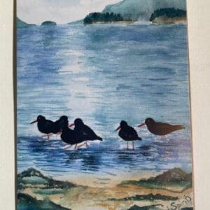 Oyster Catchers Card