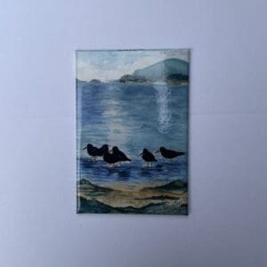 oyster catchers magnet